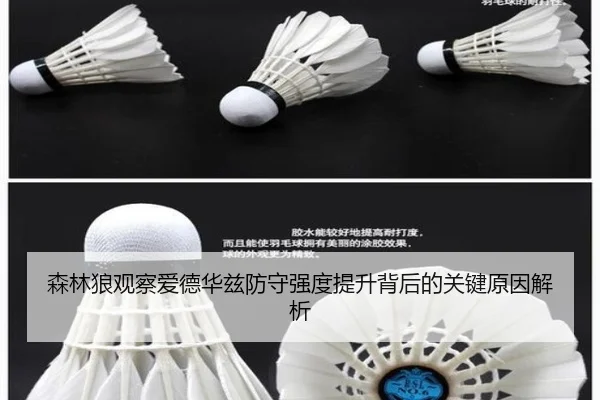 森林狼观察爱德华兹防守强度提升背后的关键原因解析